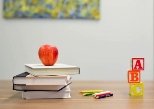 Tutor 2 (compressed)